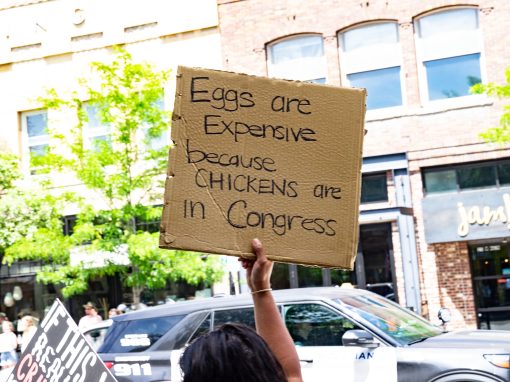 No Kings Day Bozeman - June, 2025 No Kings Day Bozeman - June, 2025