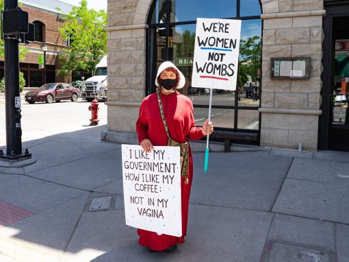 No Kings! Bozeman - June, 2025 No Kings! Bozeman - June, 2025