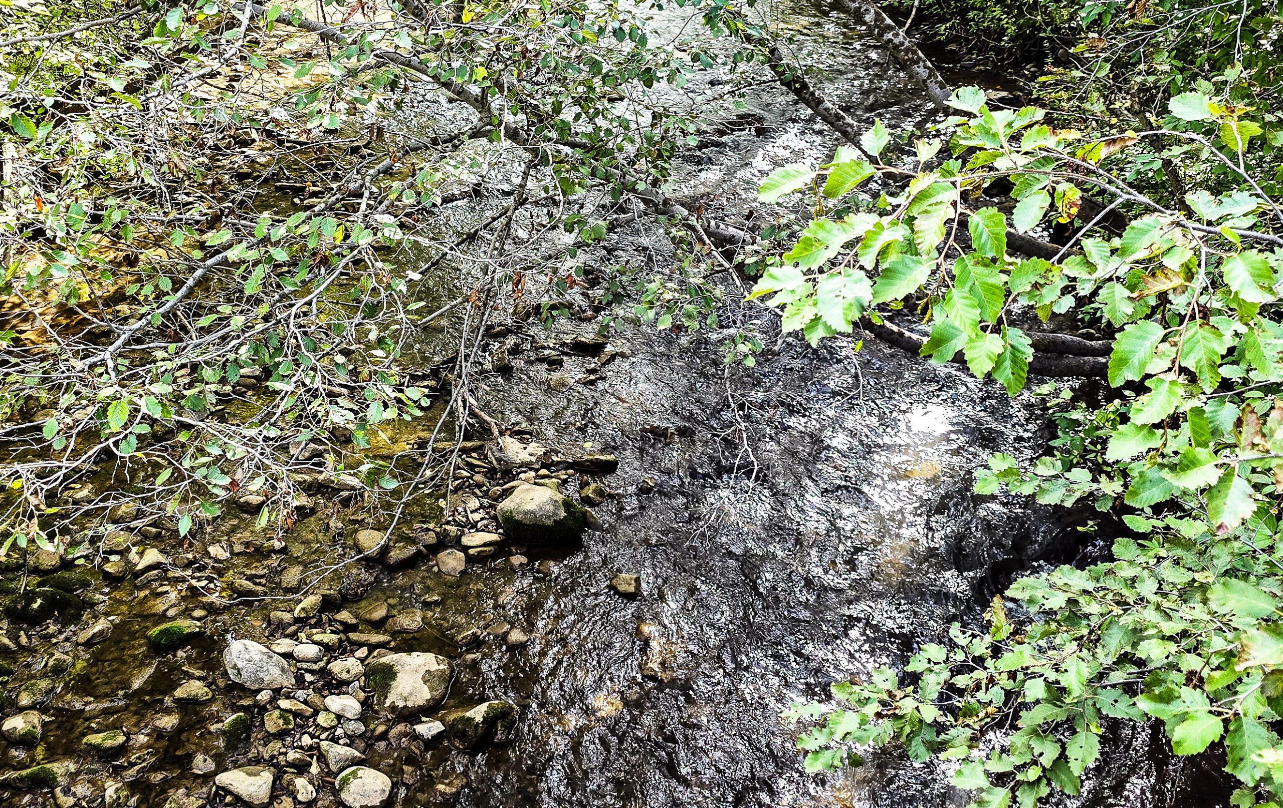 Water Adequacy for Residential Development (WARD)