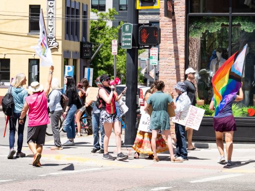 No Kings Day Bozeman - June, 2025 No Kings Day Bozeman - June, 2025