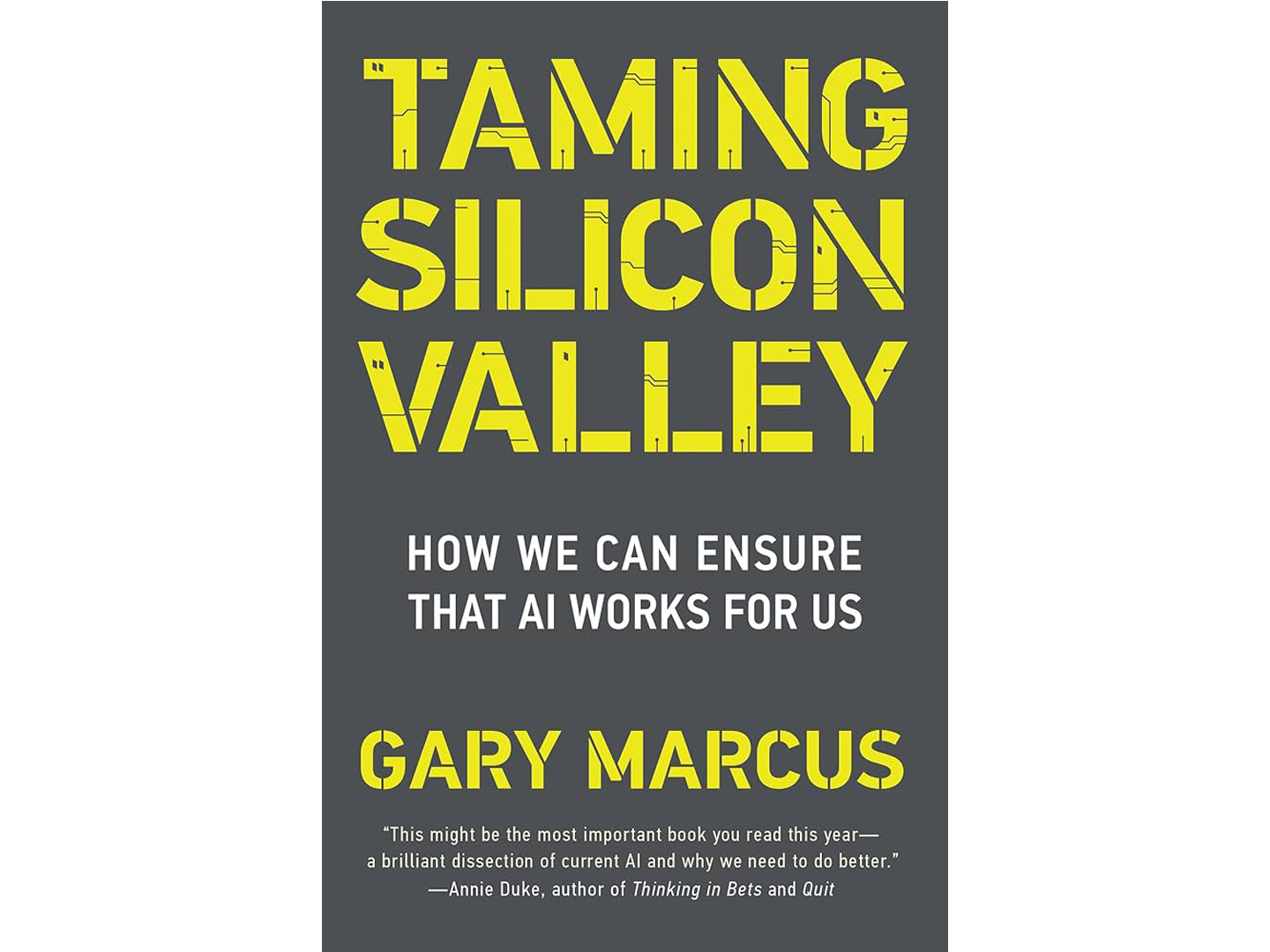 Taming Silicon Valley - Turn the Page Book Club