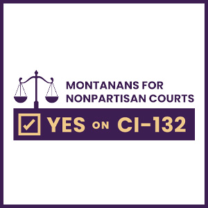 Non-Partisan Courts: CI-132